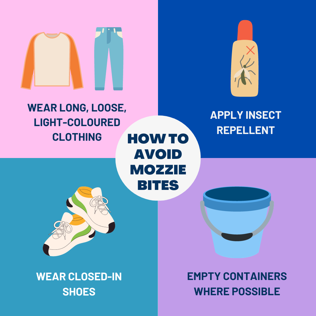 mozzies are dangerous